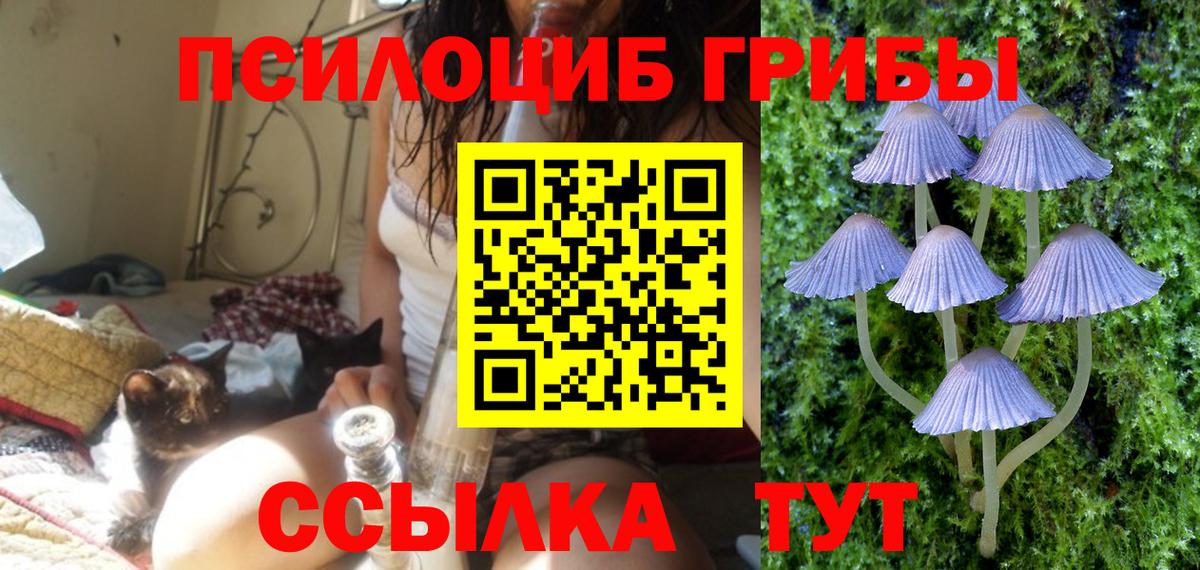 Галлюциногенные грибы Cubensis Ленинск-Кузнецкий