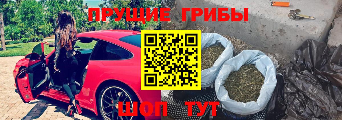 Галлюциногенные грибы MAGIC MUSHROOMS  Галлюциногенные грибы MAGIC MUSHROOMS  купить наркотик  Вход с VPN  Ленинск-Кузнецкий 